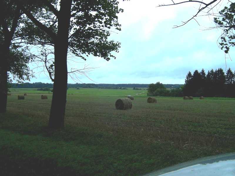 Polish countryside